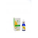 Marco Martely Diffuser Natúr - Citrus & Zöld Tea